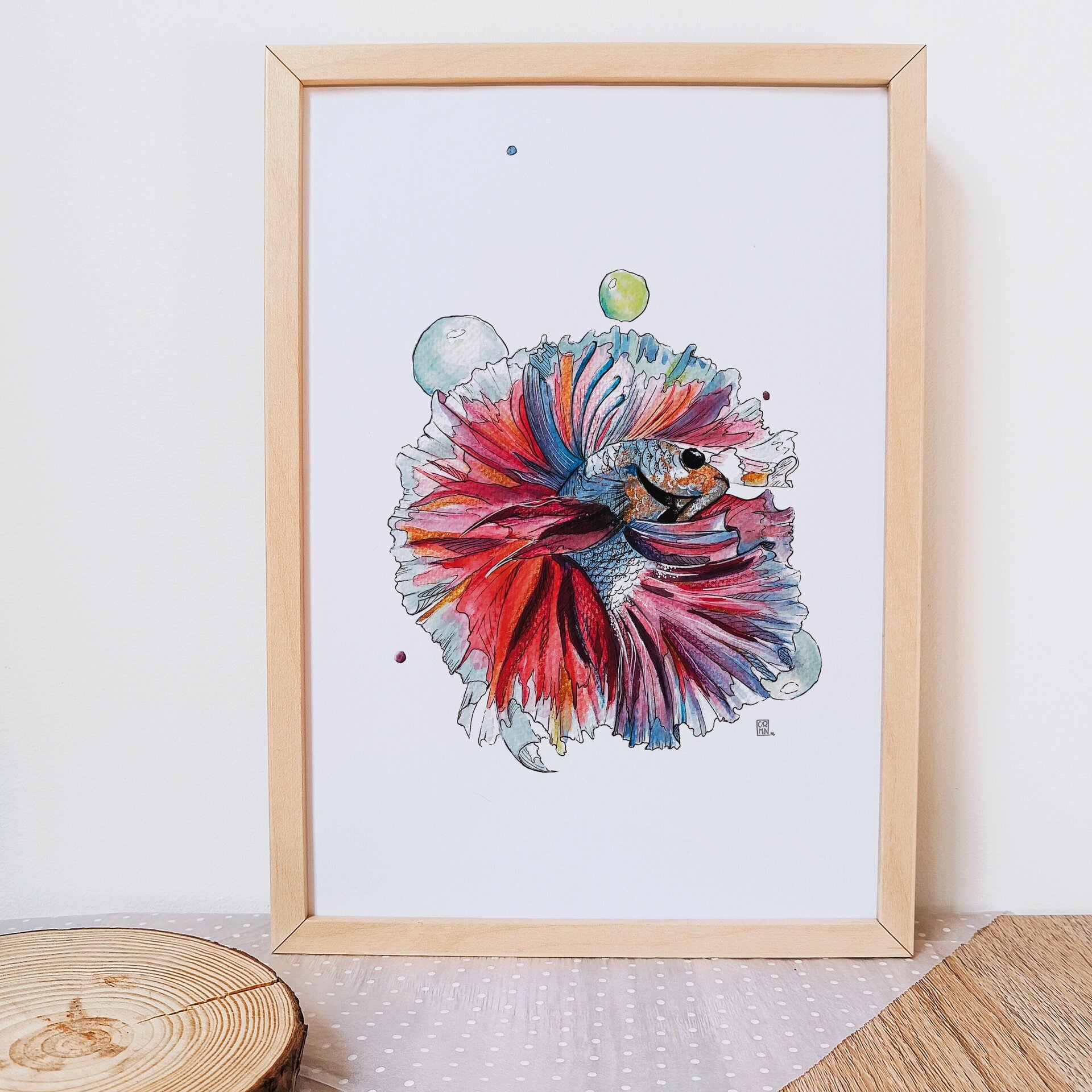 Pez Betta Rojo - 1